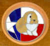 TXrabbit_HollandLop_BrokenTort.jpg (36831 bytes)