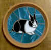 rabbit-dutchBlack_turqbkgd.jpg (77237 bytes)