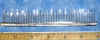 comb_shed5in.jpg (38943 bytes)
