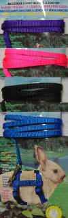 dlxHarness-all.jpg (78220 bytes)