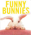 funnyBunnies.jpg (147611 bytes)