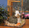 92_278-BUNNY-IN-CARRIER.jpg (49392 bytes)
