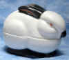 BoxChina_Rabbit_Californian.jpg (26202 bytes)
