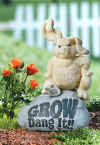 GrowDangItBunnyRockCE50447.jpg (38796 bytes)