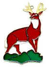 223_BuckDeer.jpg (13539 bytes)