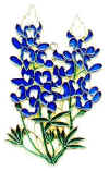 252_BlueBonnets.jpg (29017 bytes)