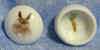 ToothFairyBoxBrown.jpg (35767 bytes)