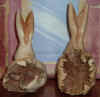 2bunheads_back.jpg (66444 bytes)