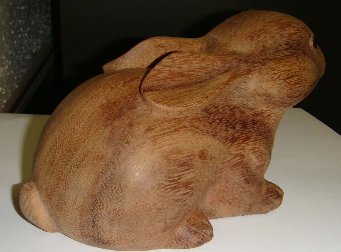 Wood Rabbit
