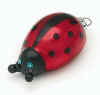 ladybug_ornament95_898.jpg (11736 bytes)
