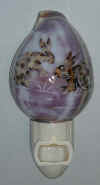 nightlight-shell.jpg (16954 bytes)