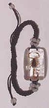scorpion_real.jpg (18648 bytes)