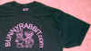 blackPinkTshirt_crop.jpg (93137 bytes)