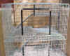 condo_cagetop.jpg (109225 bytes)